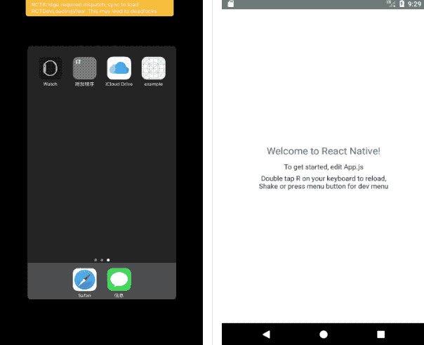 React Native dynamic launch page