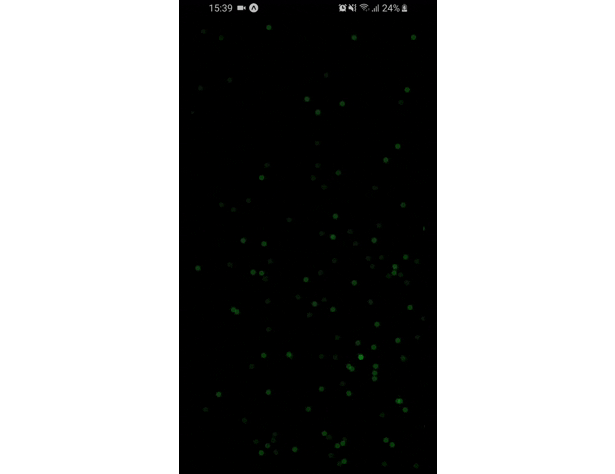 React native Background Particle