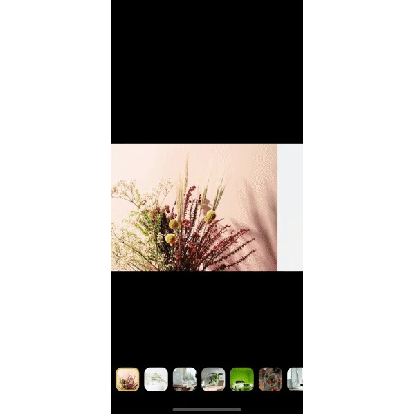 React Native Image Gallery with Thumbnails